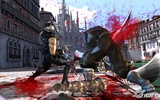 Ninja-gaiden-2-20071029101113233